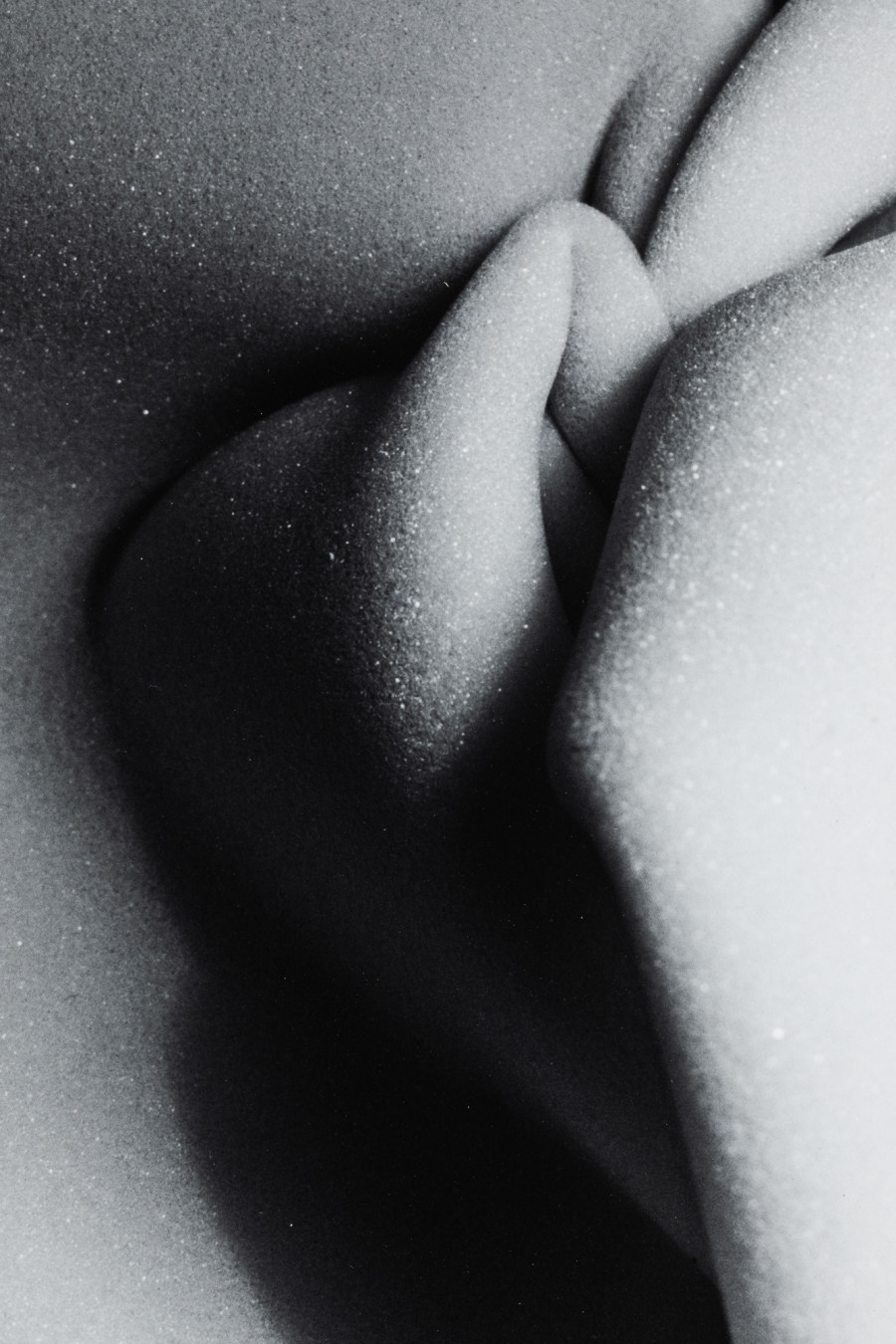 Martín Soto Climént, Marea de espuma, 2015, piezography on Hahnemühle Photo Rag Ultra Smooth 100% Cotton paper and walnut wood, 31.5 x 21.5 x 6 cm (detail). Photo: Kilian Bannwart