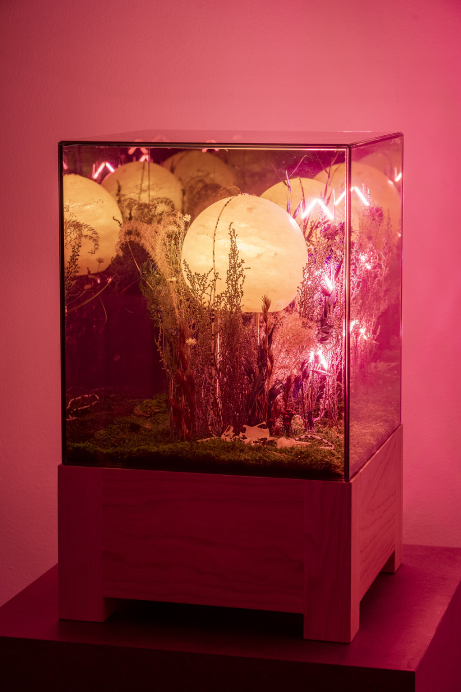 Exhibition view, Alexandre Joly, Double Rainbow, Wilde, 2022. Photo: Greg Clement