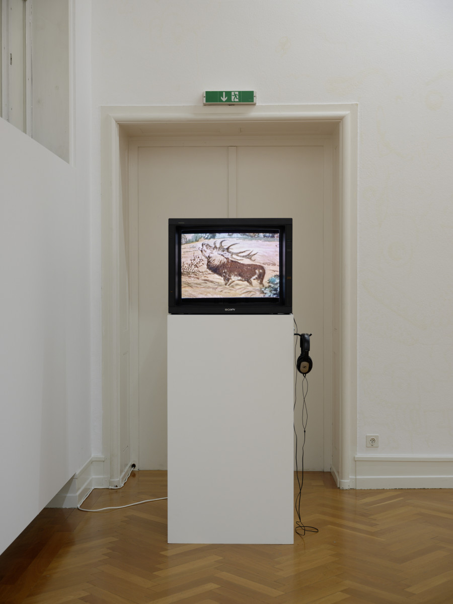 Exhibition view, 51 Years Experiment F+F, Kunsthalle Bern, 2021. Photo: David Aebi