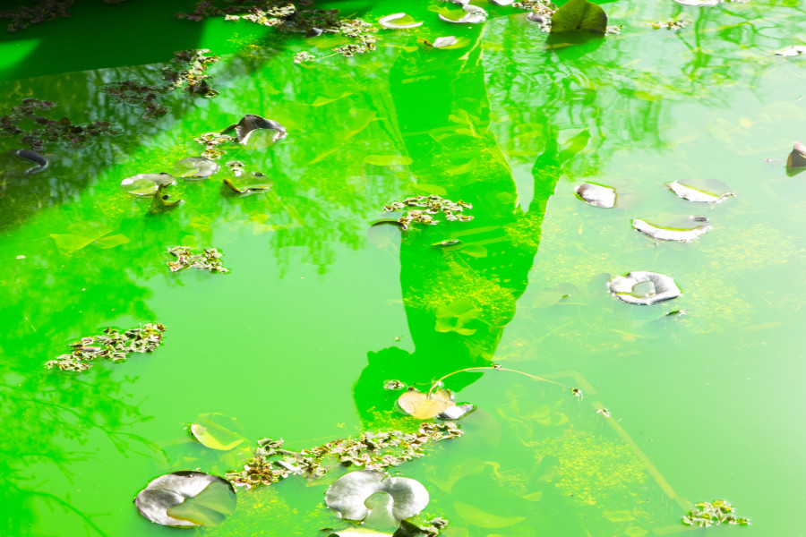 Installation view: Fondation Beyeler, Riehen/Basel, 2021 Courtesy of the artist; neugerriemschneider, Berlin; Tanya Bonakdar Gallery, New York / Los Angeles © 2021 Olafur Eliasson  Photo:Pati Grabowicz