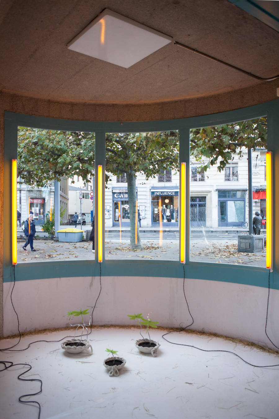 Doris Hardeman, Nothing more than ears of wheat, Zabriskie Point, 2021. Photo credit : Jerlyn Heinzen