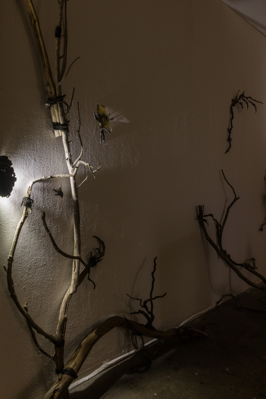 Yolane Rais, Cyanotype papillon, 2022/ Photo: Julie Folly / Courtesy: the artist and WallStreet