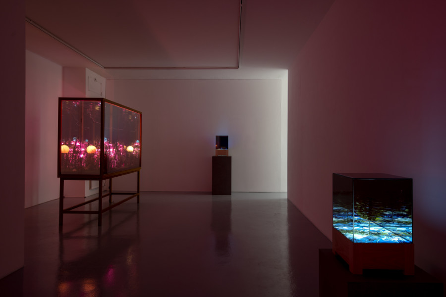 Exhibition view, Alexandre Joly, Double Rainbow, Wilde, 2022. Photo: Greg Clement