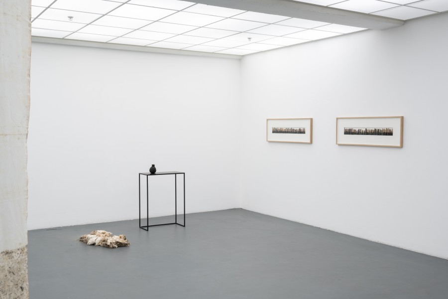 Jade Tang, Caresser l’histoire, ongoing, installation (Sonder le sol, 2020-2021; Sculptures de graines [corn], 2011; Carpothèque, 2022). Installation view Kunsthaus Baselland 2022. Photo: Finn Curry