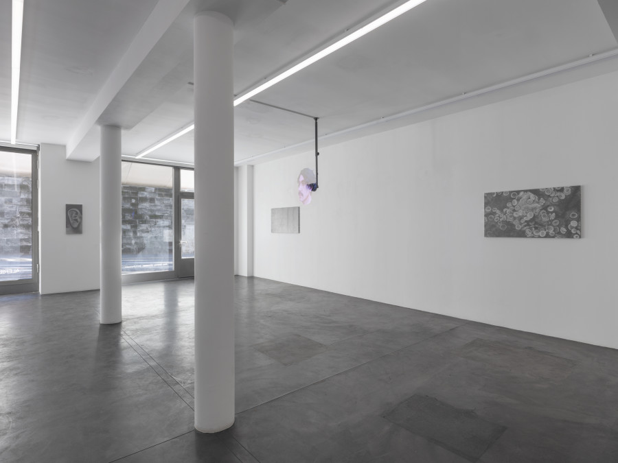 Exhibition view, Juan Antonio Olivares, SELF-PORTRAIT, Galerie Maria Bernheim, 2022.