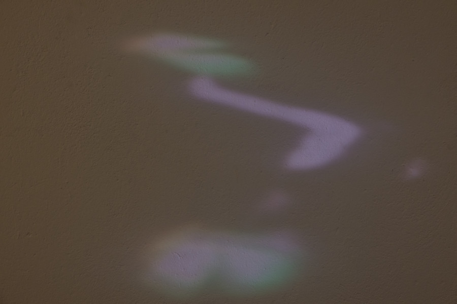 Exhibition view « Fusionner nos Ardeurxes » at WallStreet, Fribourg, 2022 / Photo: Julie Folly / Courtesy: the artist and WallStreet