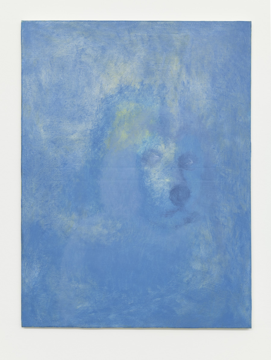 Sergej Jensen, TBT 13 (Hund), 2020. Oil auf Baumwoll-Leinwand, 80 x 60 cm. Courtesy of the artist and Galerie NEU, Berlin. Foto: Stefan Korte