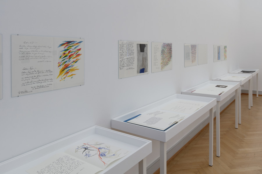 Installationsansicht Kunstmuseum St.Gallen, Foto: Stefan Rohner