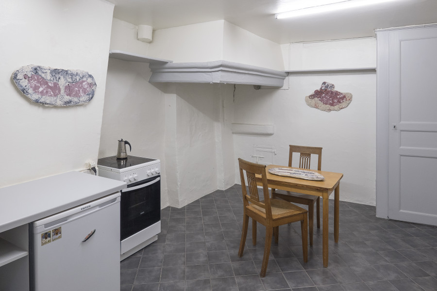 Zuzanna Czebatul, installation view at CAN - Centre d'Art de Neuchâtel. Photography: Sebastian Verdon/ all images copyright and courtesy of the artists, CAN Centre d’art Neuchâtel, Sans titre (2016).