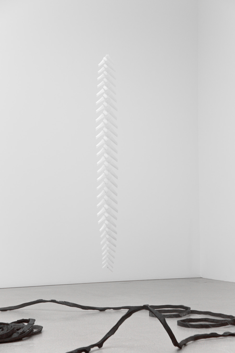 Vanessa Billy, We Become, installation view Kunsthaus Centre d’art Pasquart, Foto / photo: Lia Wagner