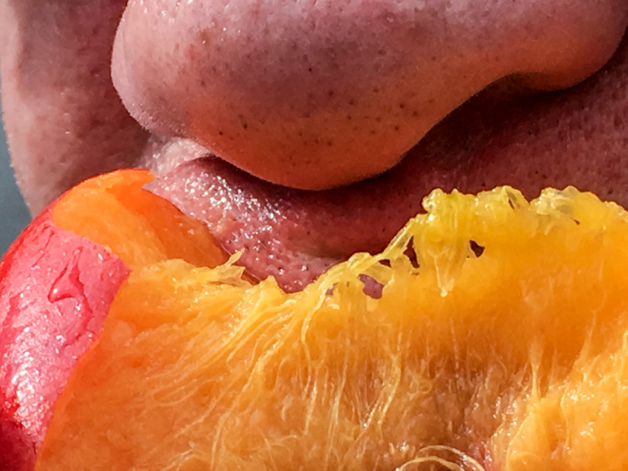 © Jeff Mermelstein, de la série Hardened, 2016.