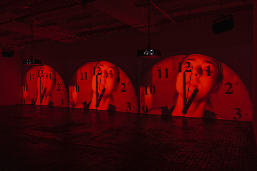 Vue d’exposition de Dialogue of the Dogs de Will Benedict au Centre d’Art Contemporain Genève (15.10.2022‒18.12.2022). © Centre d’Art Contemporain Genève. Photo : Julien Girard