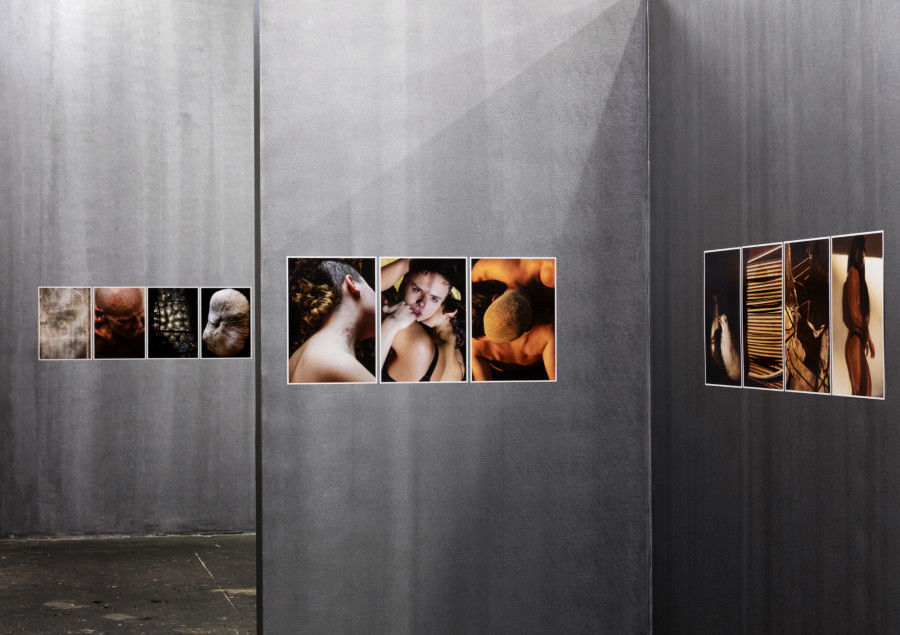 Installation view, Anne Morgenstern, Indocile and Tender, Centre de la photographie Genève, 2022. Image: Anne Morgenstern