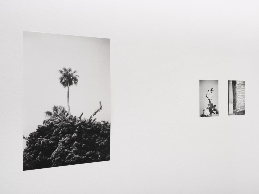 Exhibition view, Abdo Shanan, Dry, Centre de la photographie Genève, 2022. Photo credit: Léonard Rossi