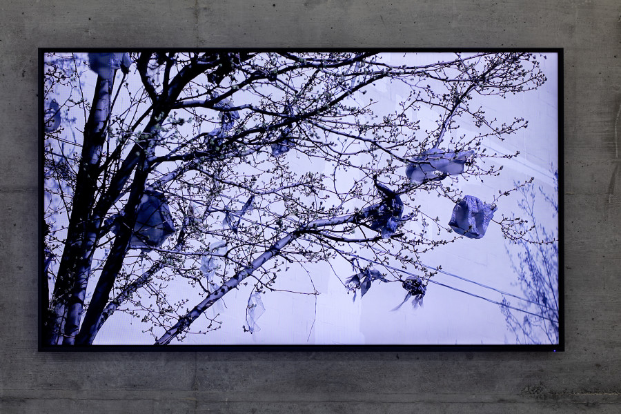 Matthew McCaslin, Trees Like Me, 2018, Foto: Stefan Rohner