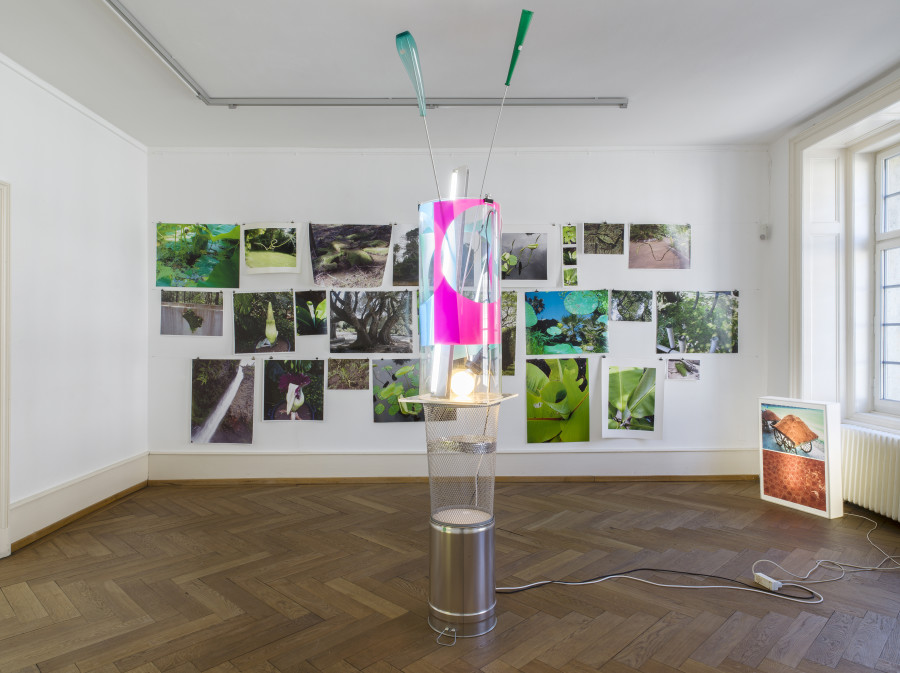 Ruedi Bechtler, Fotowand, 2022 / Lichtobjekt, 2022 / Spiegelung, 2003, Installationsansicht Kunsthaus Langenthal, Foto: CE, Courtesy of the artist