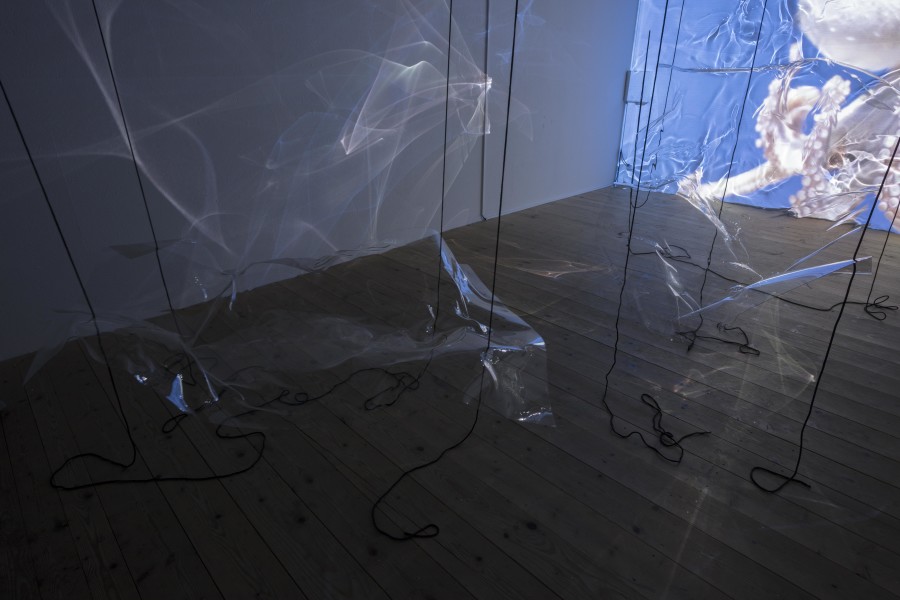 Exhibition view, Riikka Tauriainen – Intimacy of Strangers, sic! Elephanthouse, 2020-2021. Photo credit: Andri Stadler