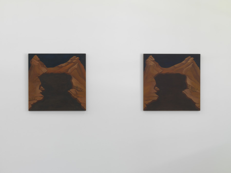 Georgia Sagri, Humid night, passage, cold cave, organ (left and right side) 2022, Kunsthalle Friart, Photo Stathis Mamalakis ©Georgia Sagri