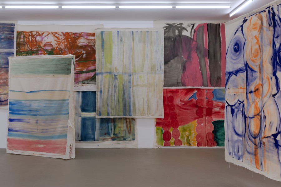 Vivian Suter, Ausstellungsansicht, Kunstmuseum Basel | Gegenwart. Photo Credit: Gina Folly