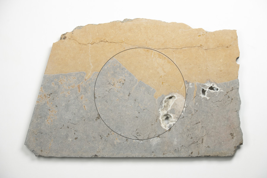 Exhibition view, Alexandre Joly, Double Rainbow, Wilde, 2022. Photo: Greg Clement