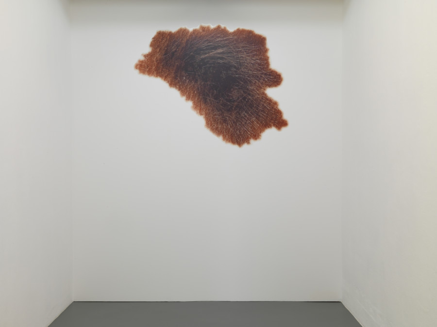 Georgia Sagri, Birthmark, 2022, Photo Stathis Mamalakis ©Georgia Sagri