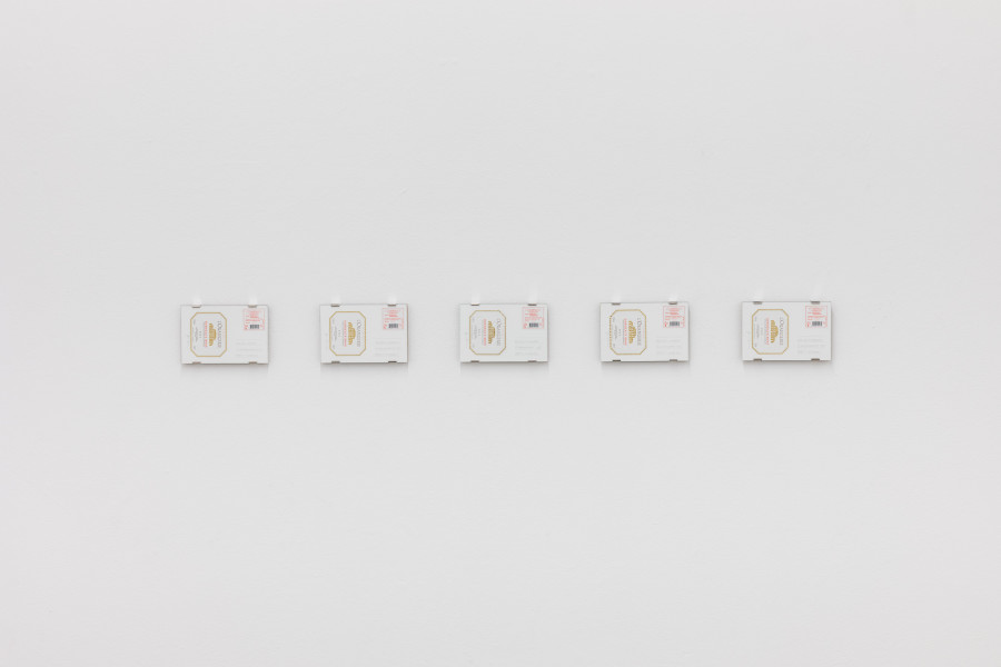 Exhibition view, VON DEN DINGEN, Kunsthalle Luzern, 2022. Photo credit: Kilian Bannwart