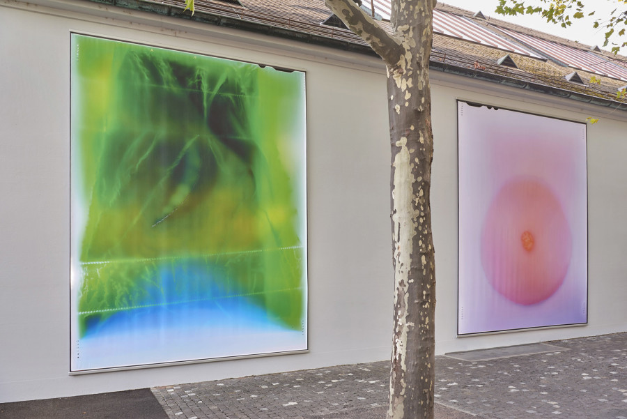 Ketuta Alexi-Meskhishvili, Verkleidung, Kunsthalle Basel back wall, 2022. Exhibition view from left to right: Dog Smile, 2020; for anyone of you, 2021. Photo: Philipp Hänger / Kunsthalle Basel. All works courtesy the artist; galerie frank elbaz, Paris; and LC Queisser, Tbilisi