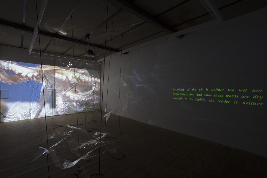 Exhibition view, Riikka Tauriainen – Intimacy of Strangers, sic! Elephanthouse, 2020-2021. Photo credit: Andri Stadler