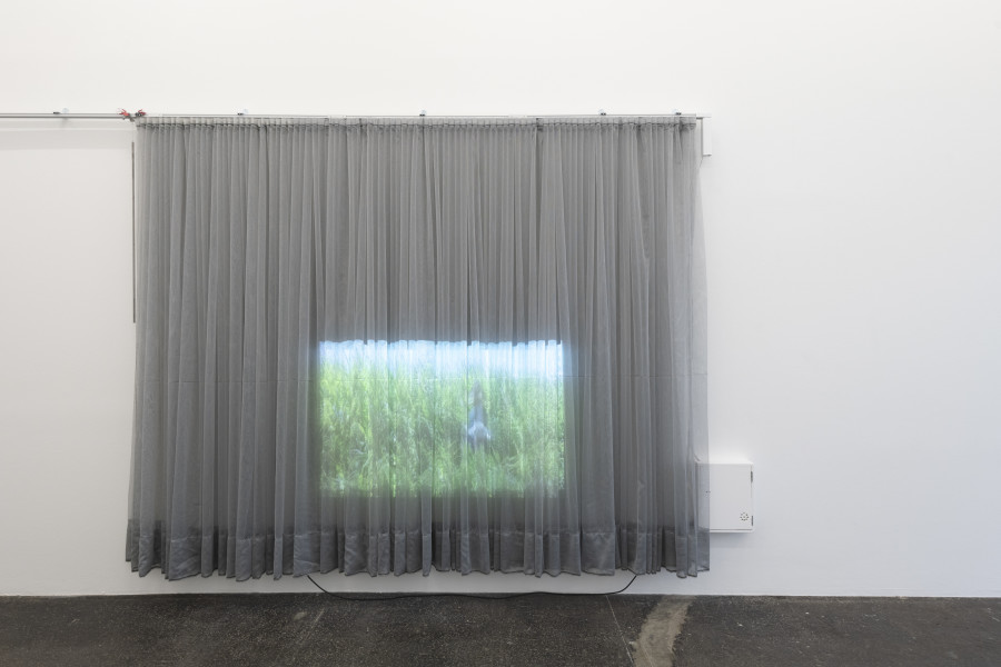 Gina Proenza, Can`t We Stop Talking?, 2023. Photo: Kunst Halle Sankt Gallen, Sebastian Schaub. Courtesy of the artist and Kunst Halle Sankt Gallen.