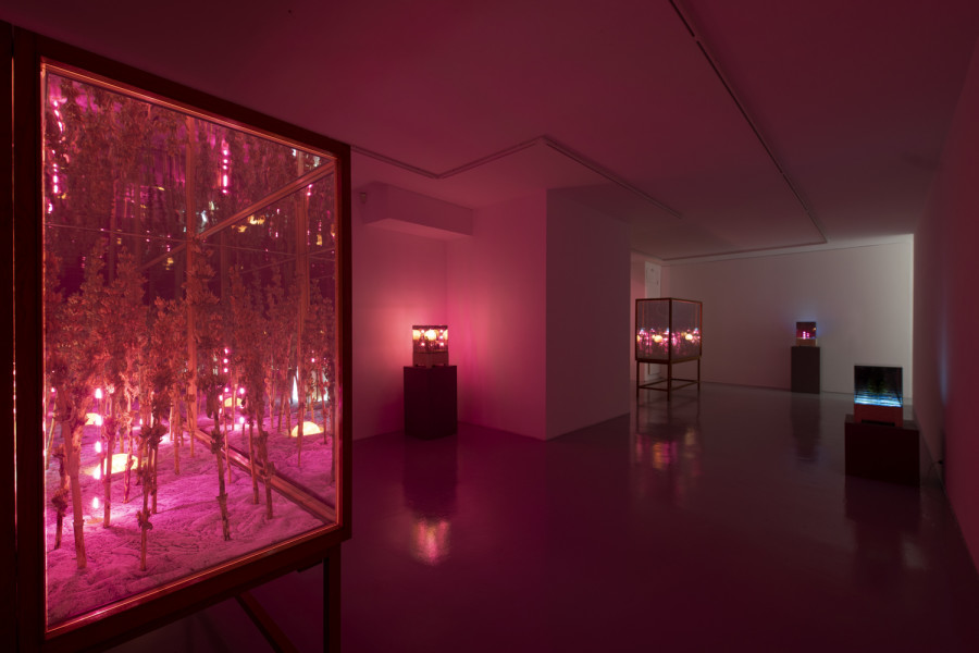 Exhibition view, Alexandre Joly, Double Rainbow, Wilde, 2022. Photo: Greg Clement