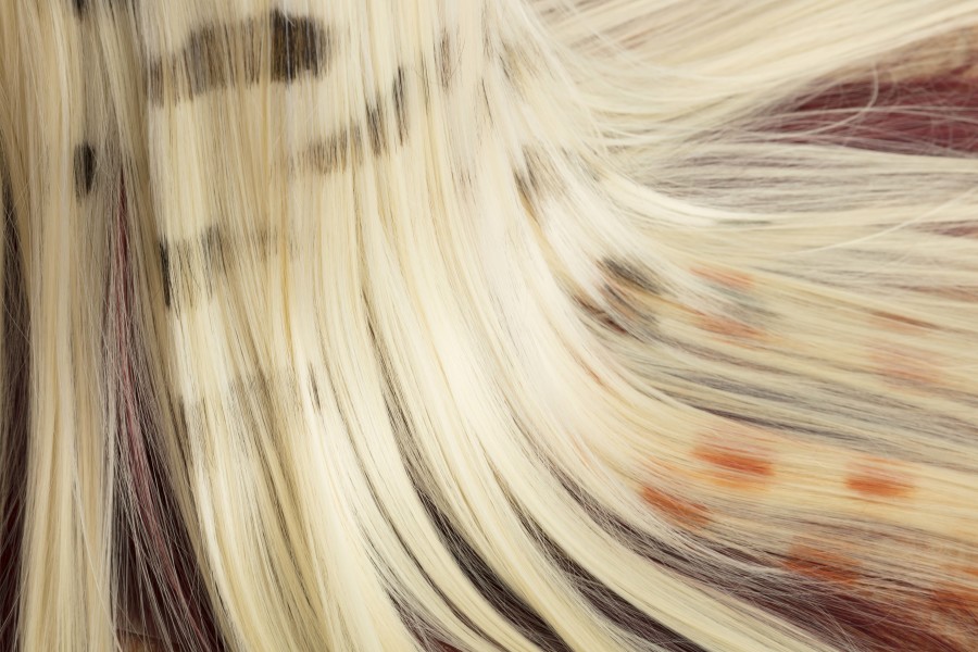 Exhibition view, Luca Büchler – a fantasy, a desire, sic! Elephanthouse, 2022. Photo credit: Andri Stadler