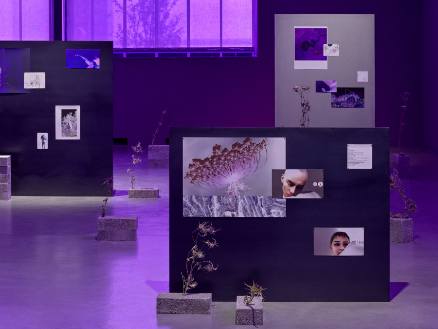 Basel Abbas & Ruanne Abou-Rhame, Where the soil has been disturbed, 2022, Archival Inkjet prints on metal and concrete panels, dried Syrian thistle and milk thistle, bricks (detail). Courtesy the artist. Photo: Stefan Altenburger Photography, Zurich